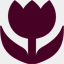 solaceames.com