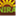 niramiami.com