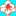 mariadelcastillo.org