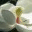 rnqi.wordpress.com