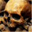 vaultofthoughts.com