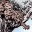 catsandblogs.wordpress.com