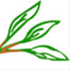 caresafoundation.wordpress.com