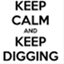 diggingdaily.wordpress.com