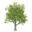 ashtree.co.uk