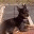 mommaslittletinker.wordpress.com