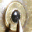lensonleeuwenhoek.net