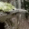 bearsbread.wordpress.com