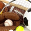 simplesportsnotes.com