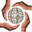 whittierspine.com