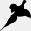 fantasyflyers.com