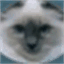 cphahn.de