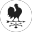 bawkdesign.co.uk