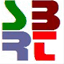 sbrt-buggy.com
