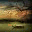 ngubinhson.wordpress.com
