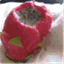 thedragonfruit.wordpress.com