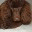 boulderdog1.wordpress.com