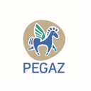 fundacjapegaz.com