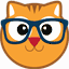 appdiscovery.metricscat.com