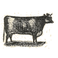 mooselakeranch.com