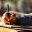 danielbeals.wordpress.com