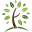 springupword.com