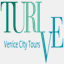 turive.it