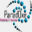 paradoxe-multimedia.com