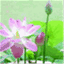 ctuservice.wordpress.com