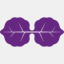 cryptogamicbotany.com