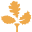 ecolodge.es