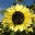 physicgardenproject.wordpress.com