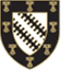 exetercohenquad.com