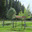 johnmnelsonconservancy.org