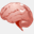 intelimaxiq.net.br