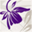 illuminarimedspa.com