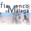 flamencoenmalaga.wordpress.com