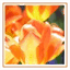 mariecaussieu.over-blog.com