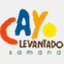 cayolevantado.com