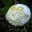 craftyfrayededges.wordpress.com