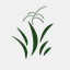 nordicmaize.com