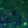questavoce.wordpress.com