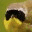 mistnetwork.wordpress.com
