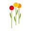 bms.type.pl
