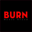 burnmediagroup.net
