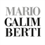 galimbertimario.it