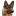 acppav.com