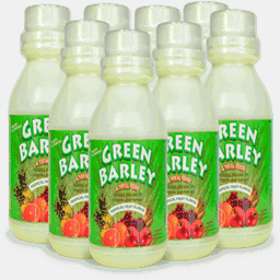 greenbarleyphilippines.com