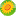 hksunflower.com