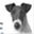 ninospage.de